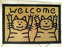 cleaning professionals recommend doormats